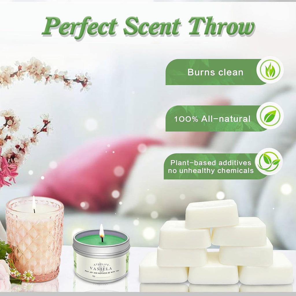 Candle Making Kits for Adults Beginners,Soy Wax for Candle Making,Candle Making Supplies Accessory,Make Your Own Candles,Melting Pot,Fragrance Oils,Candle Tins,Wicks,Dye Wax, Christmas Candle Kit